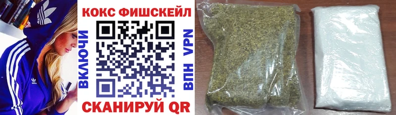Cocaine Fish Scale  Купить где  Мамадыш 