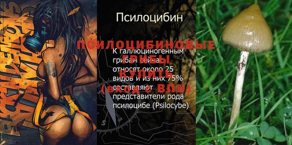 mix Верхний Тагил
