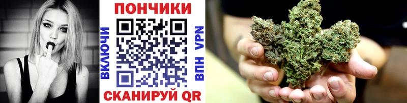 Марихуана план  Купить  Мамадыш 